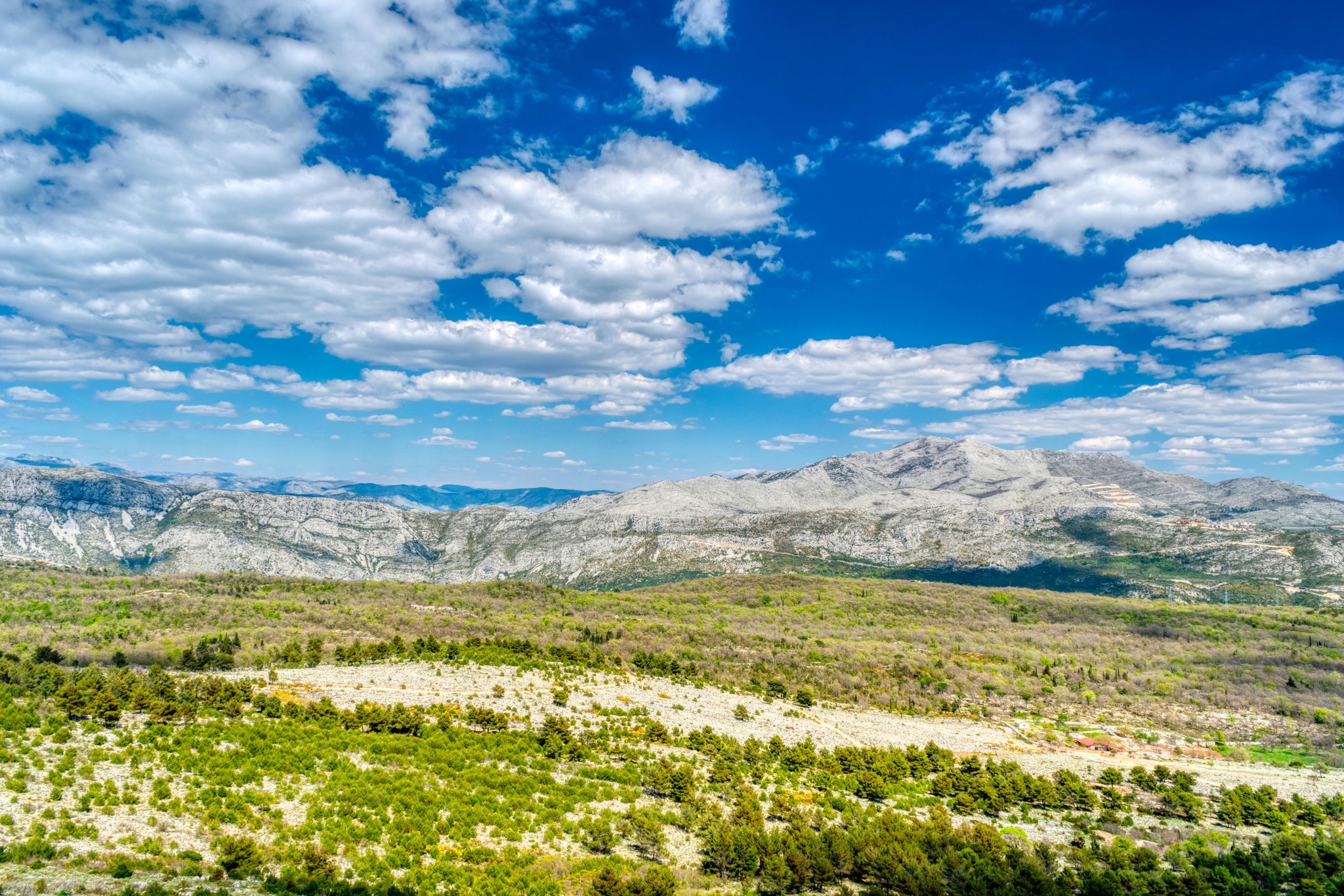 Dalmatia