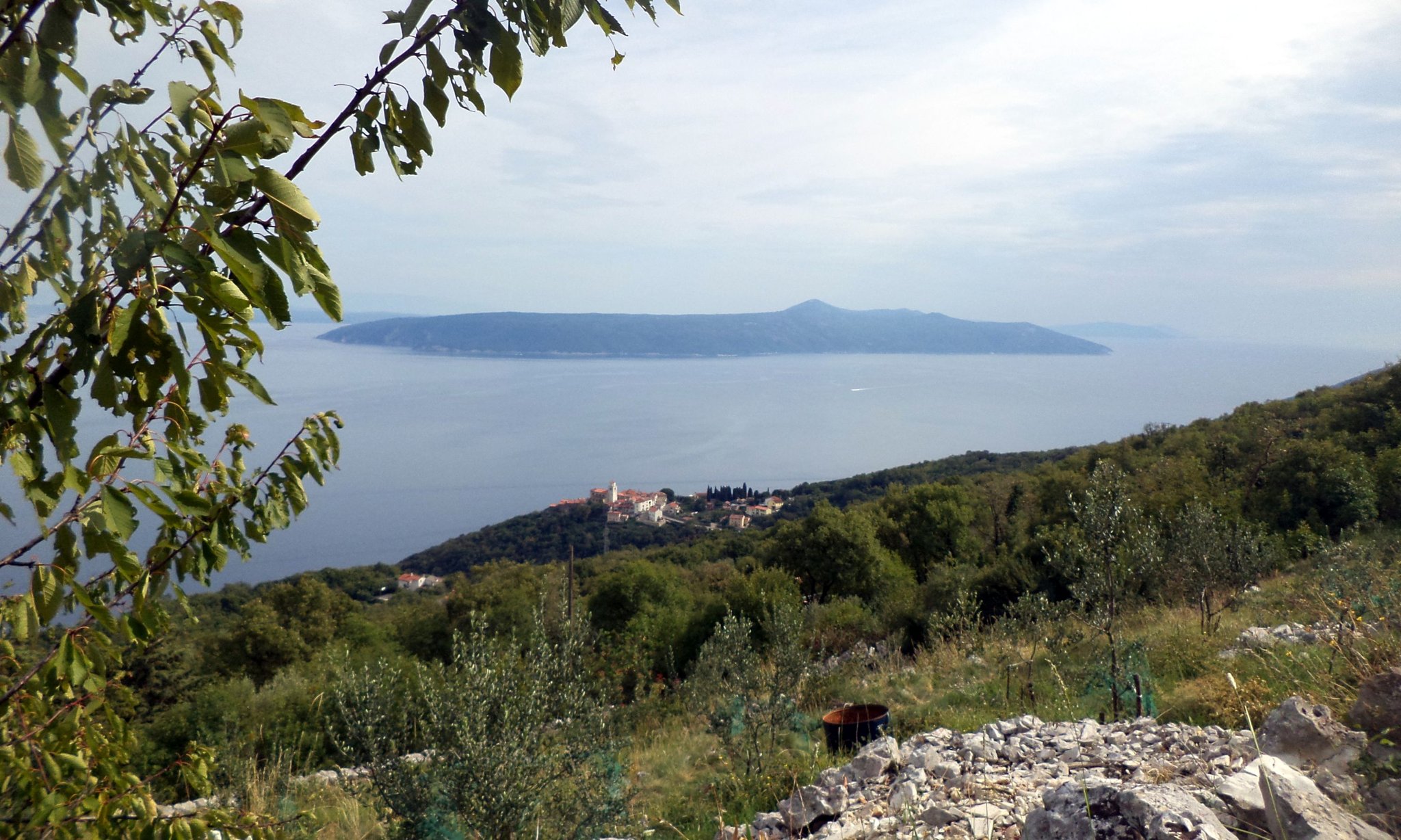 Fairy Garden (Vilin Gaj)