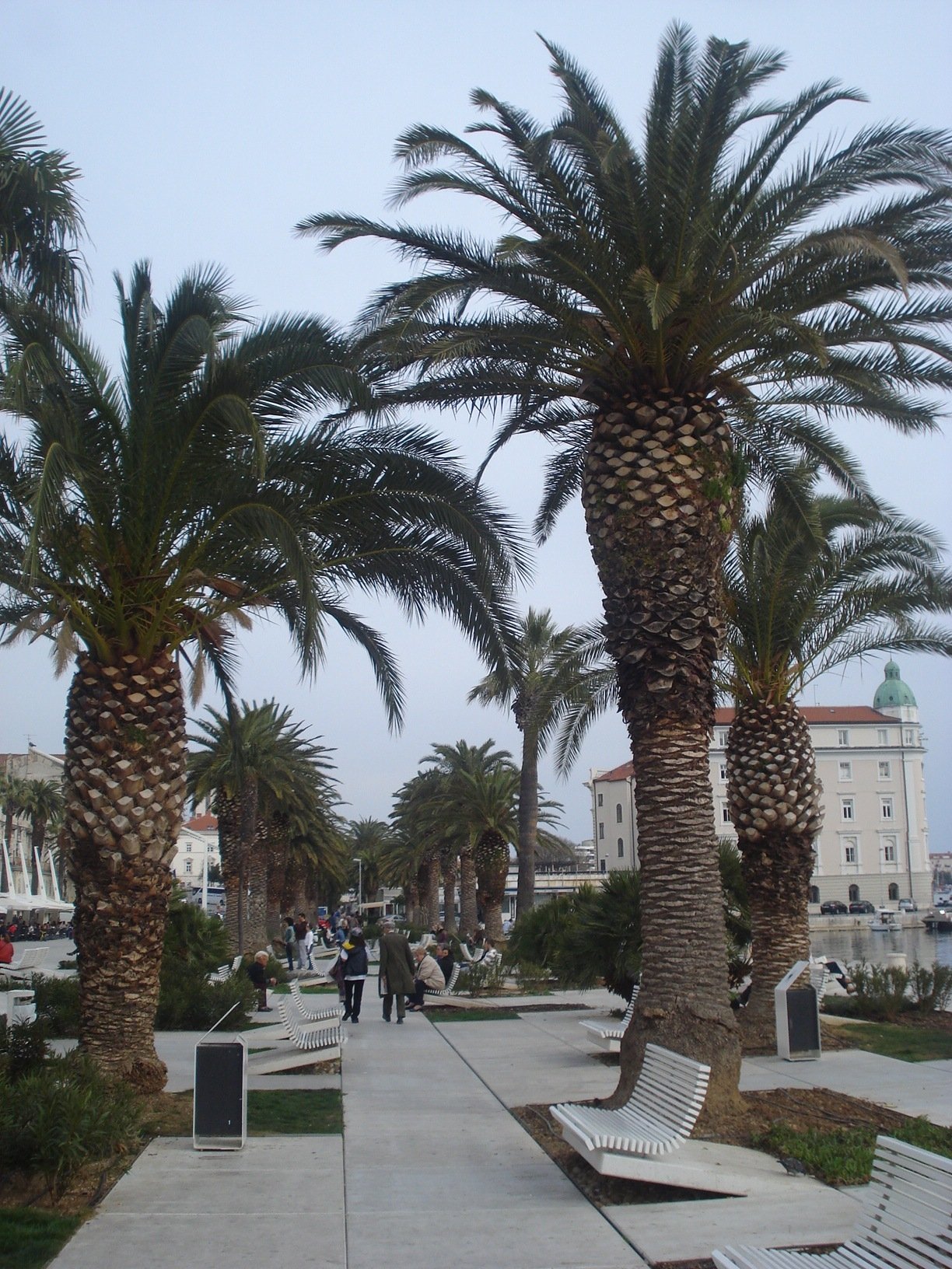 Riva