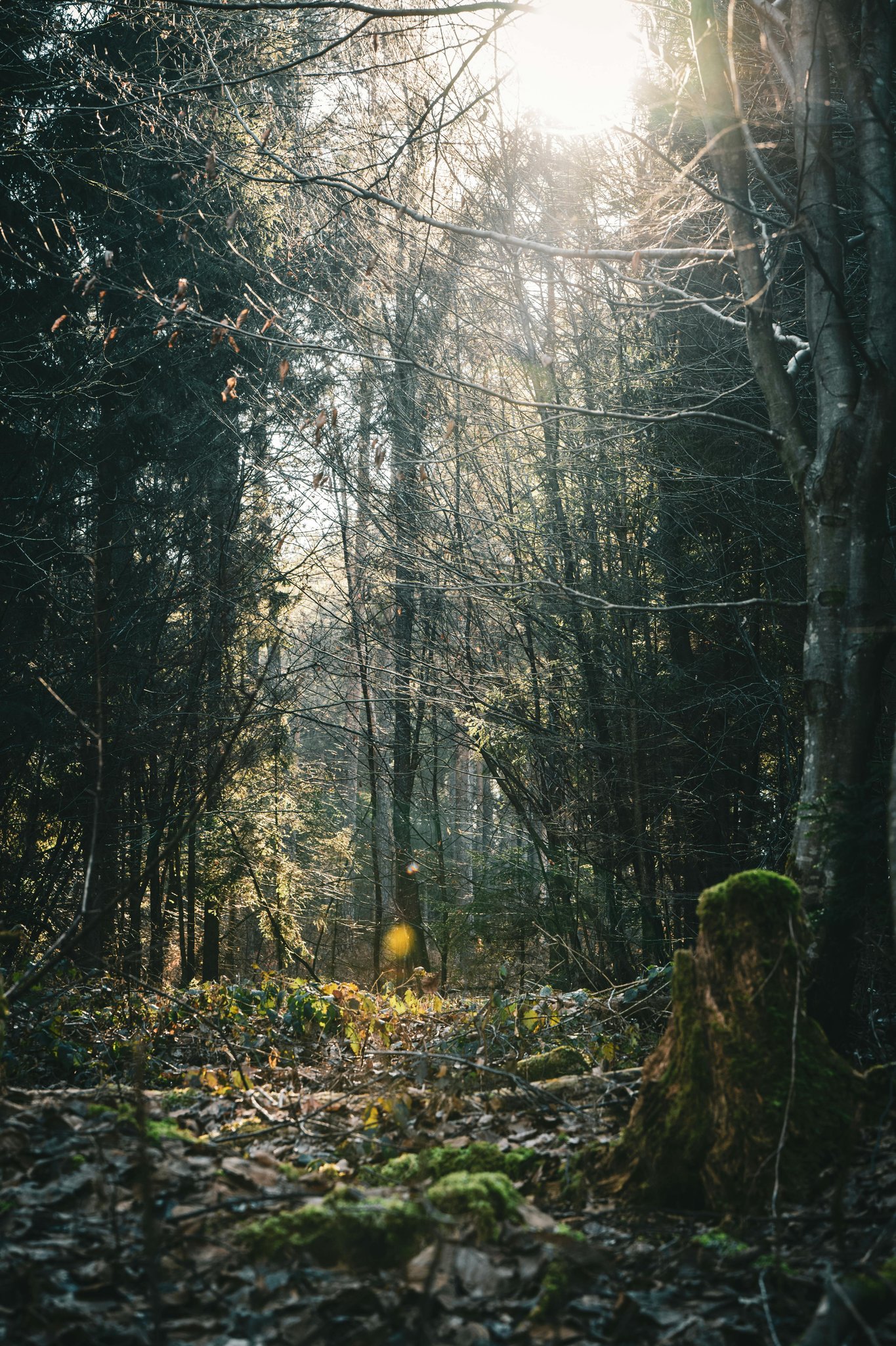 Off the Beaten Path