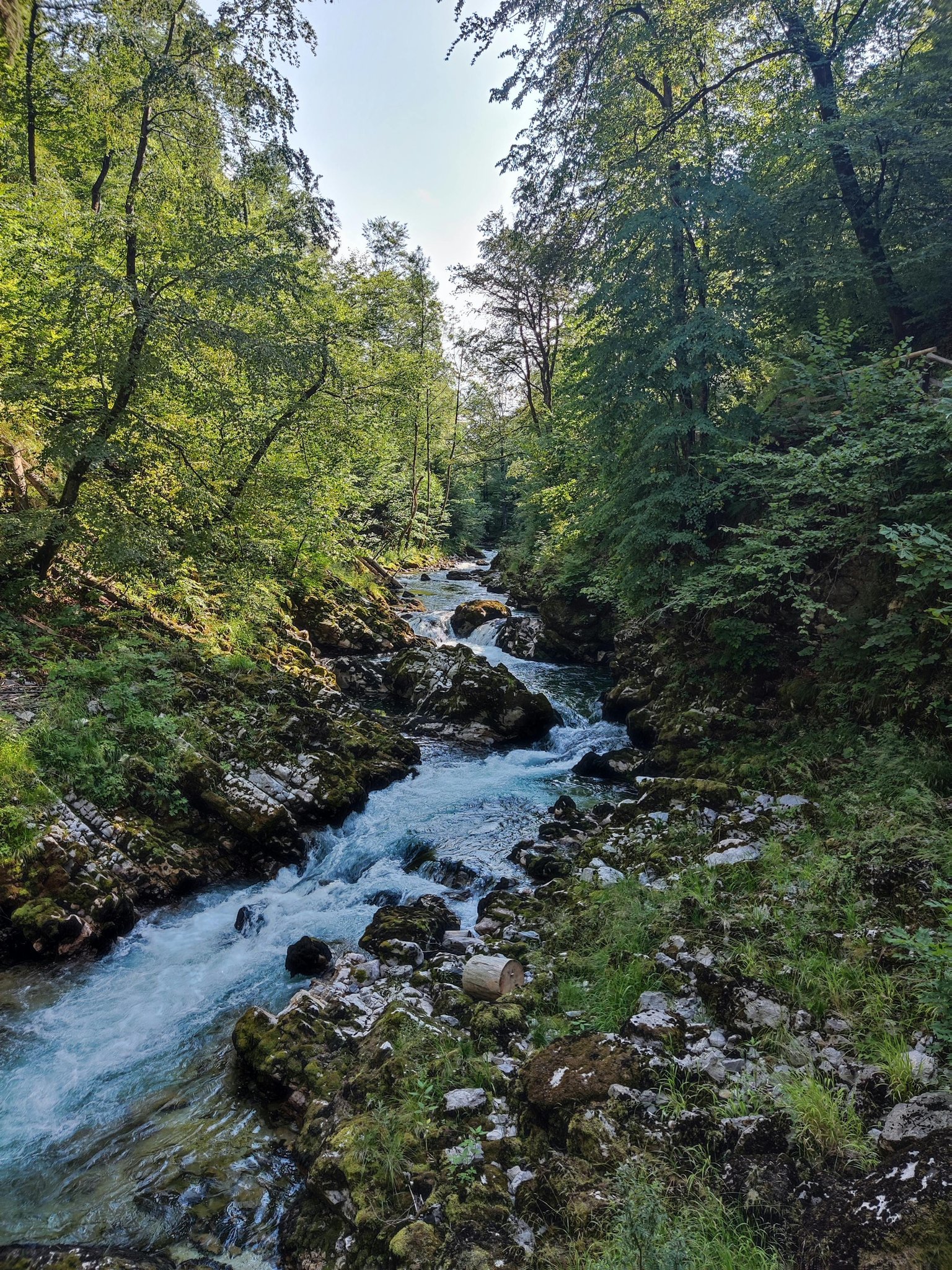 Bohinjska Bela
