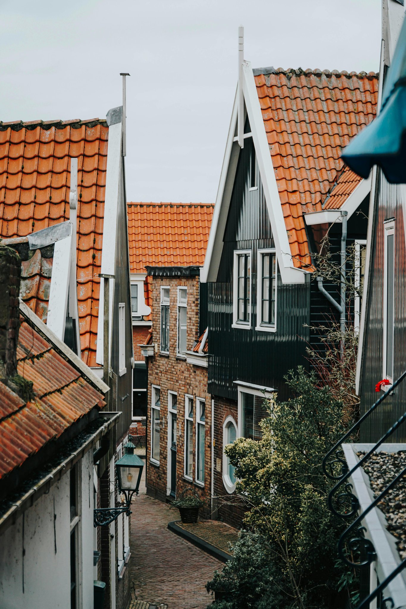 Dutch Etiquette for Travelers