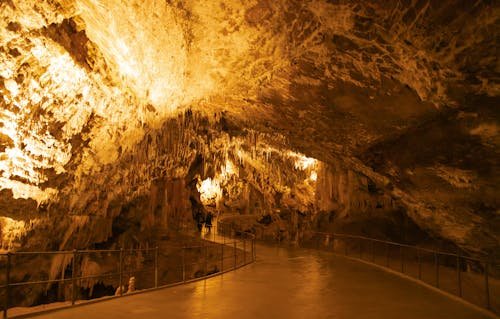 Postojna Cave