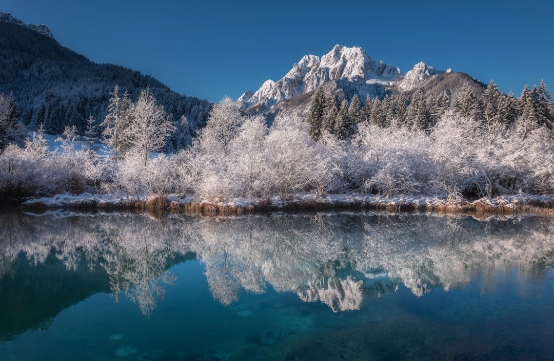 Zelenci