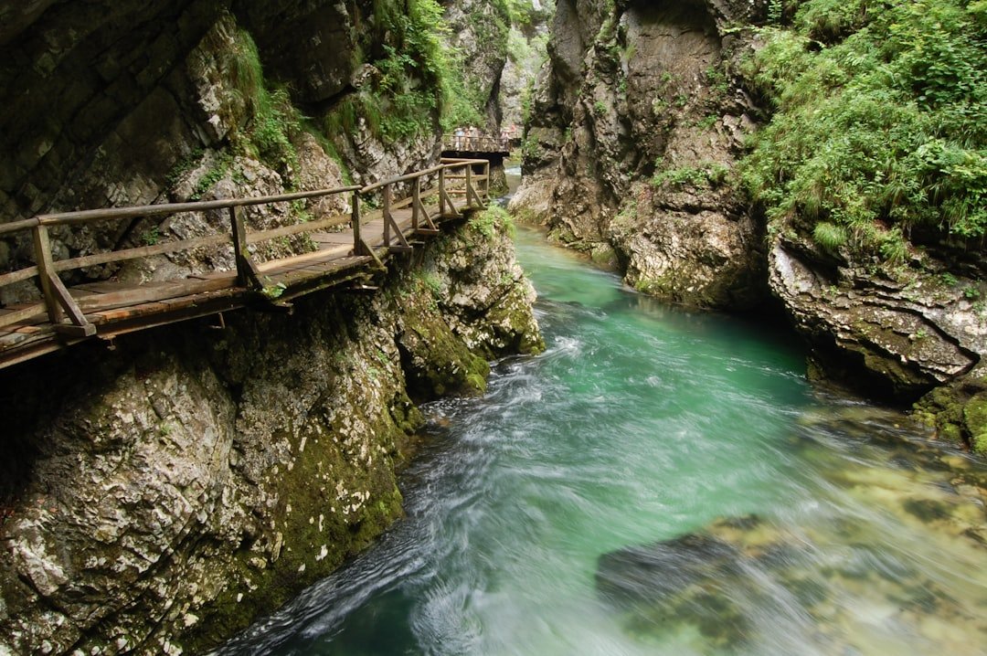 Jesenice