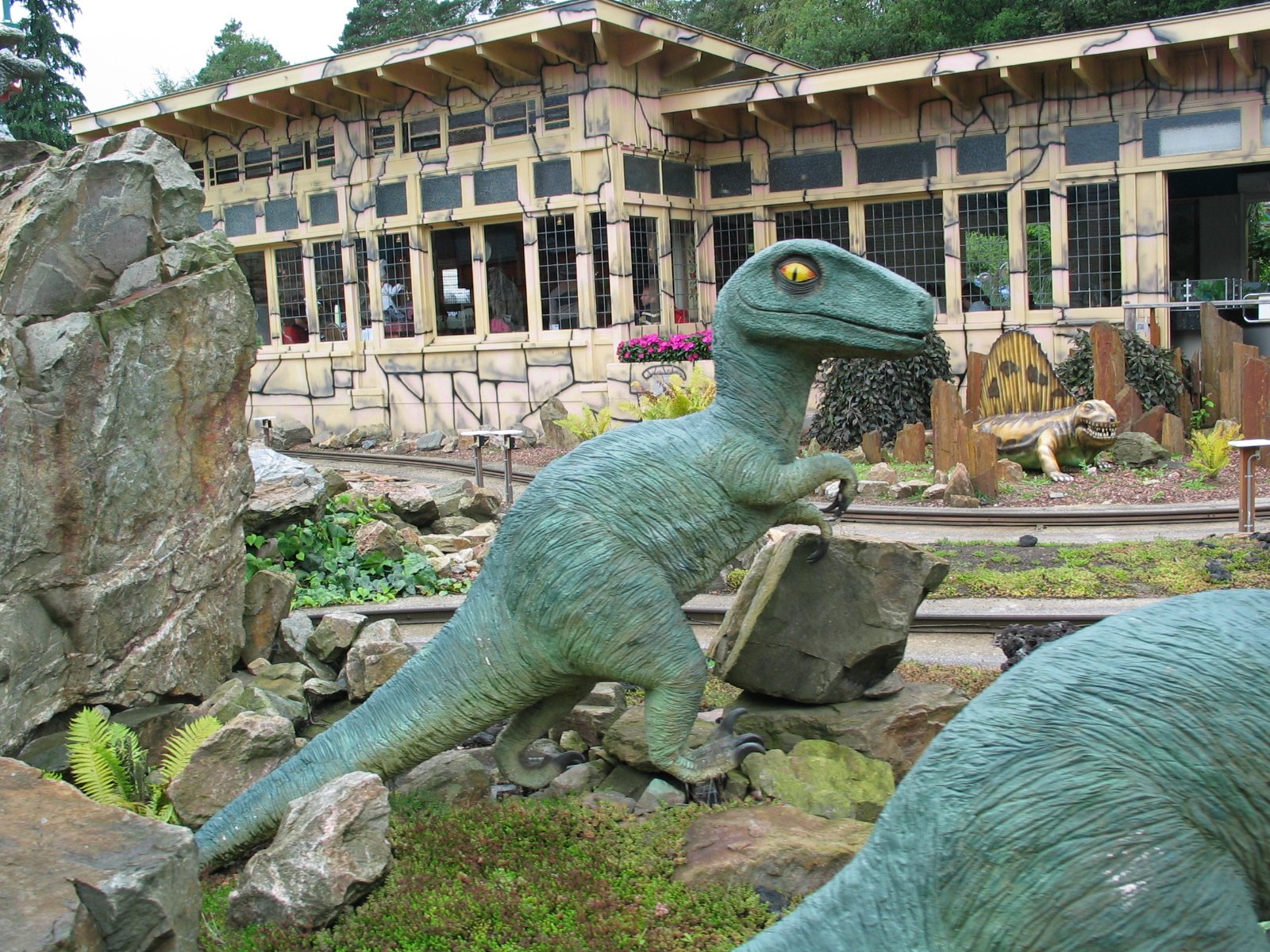 Solo Adventure at Apenheul Zoo