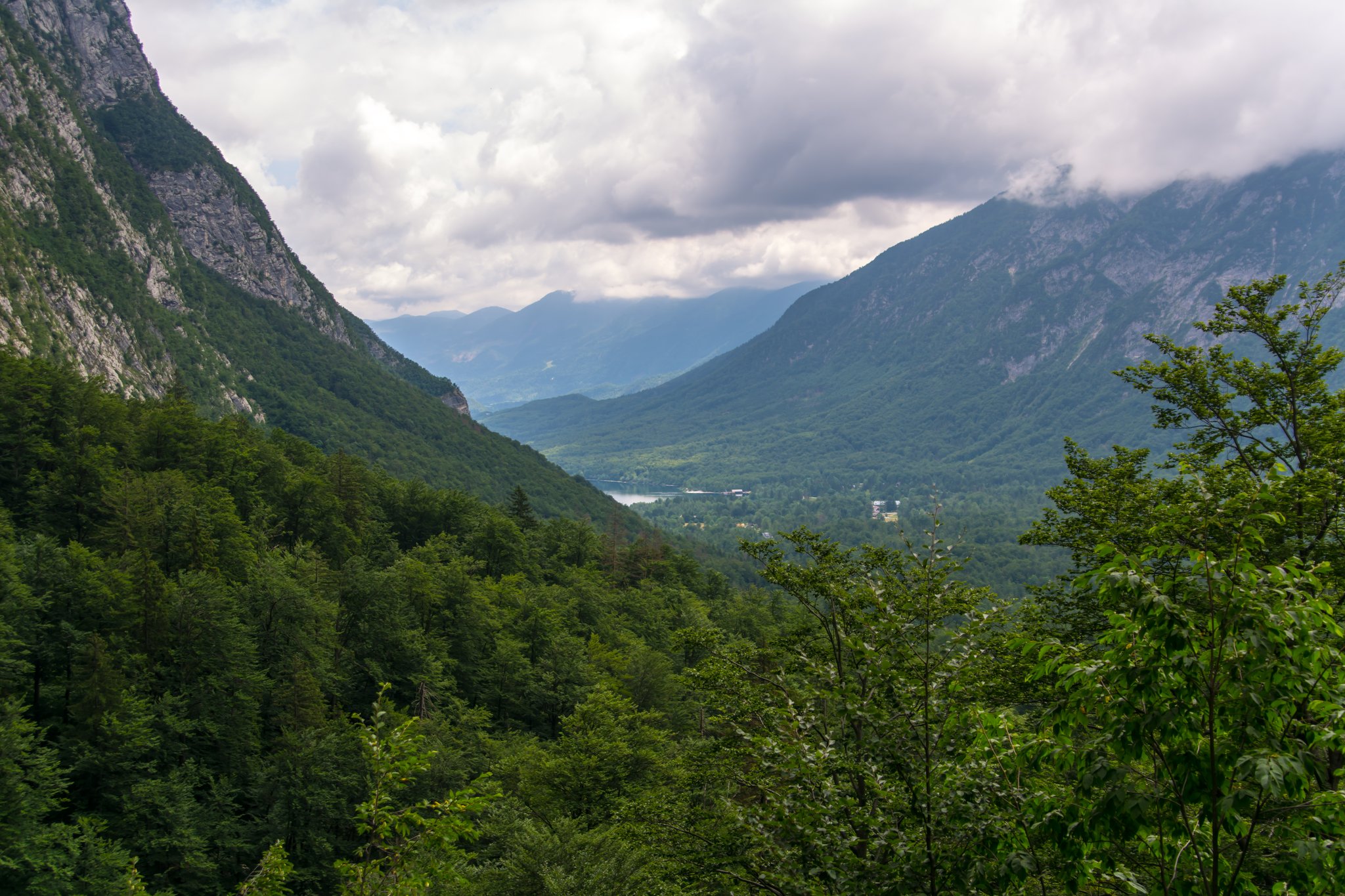 Lake Bohinj