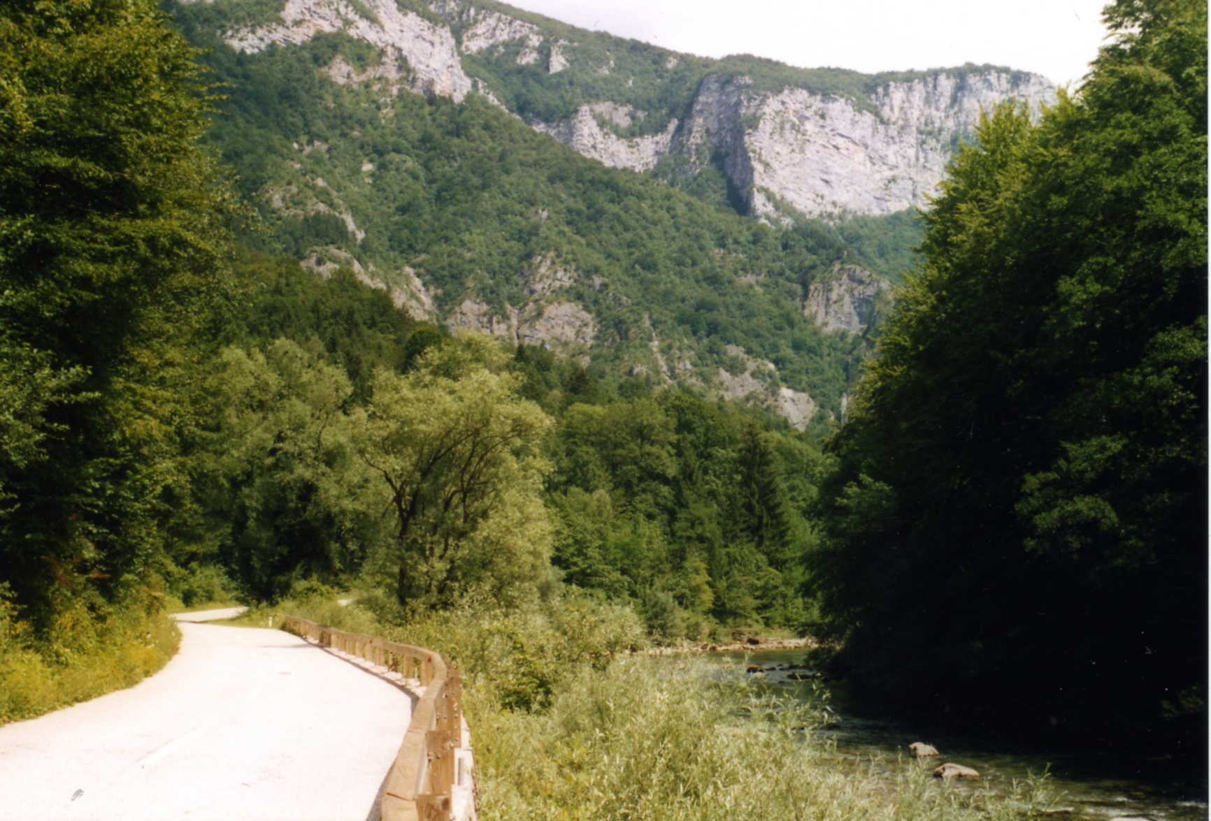Kolpa