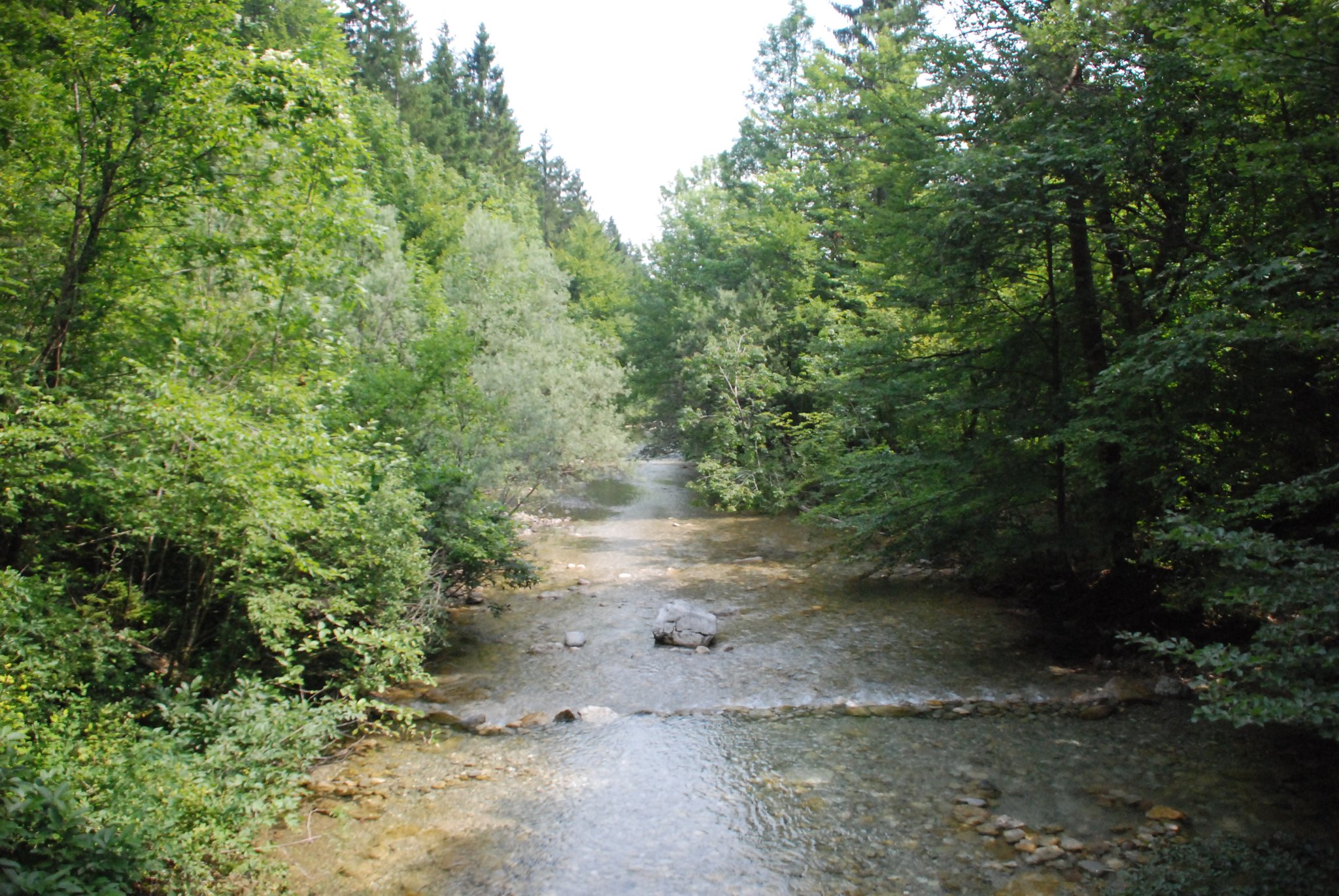 Iški Vintgar Gorge